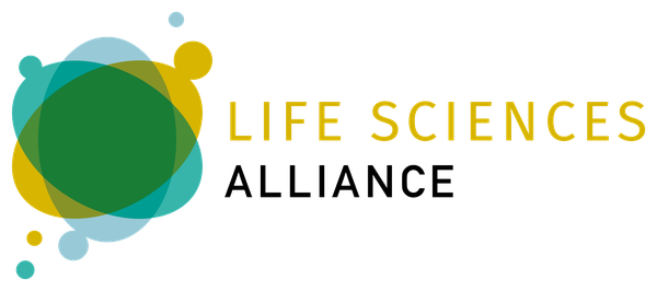 Logo Img