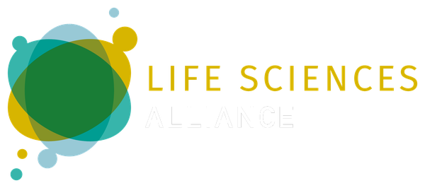 Logo Img